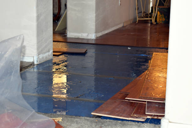Professional Sewage Cleanup technician working in Argyle, TX